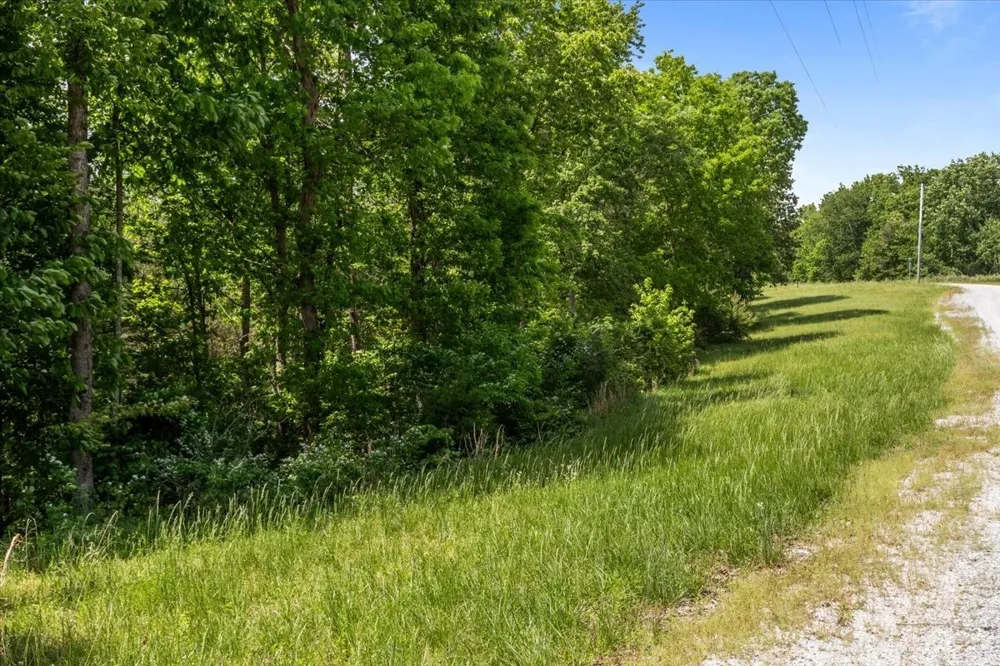 0 Western Rd Waverly, TN 37185