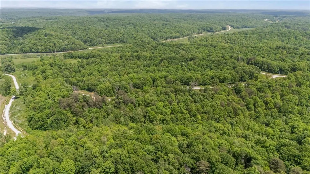 0 Western Rd Waverly, TN 37185