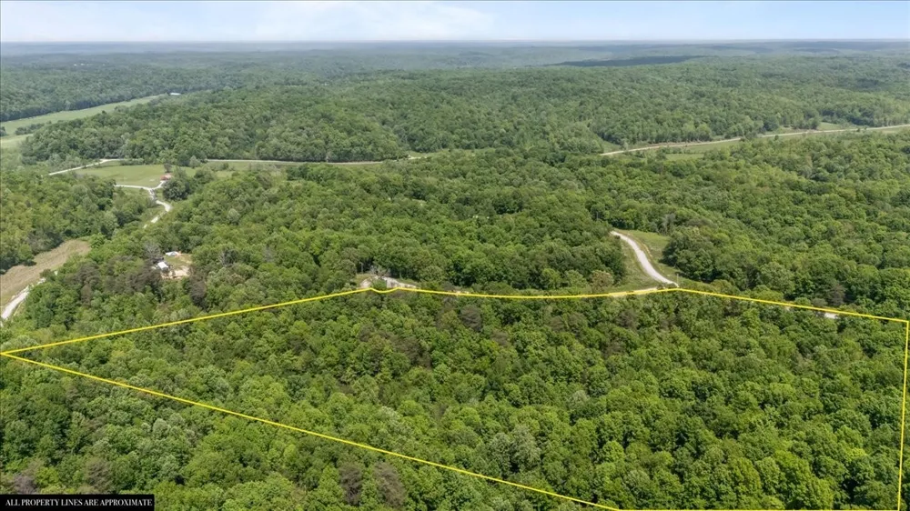 0 Western Rd Waverly, TN 37185