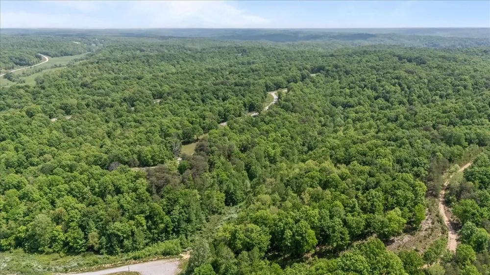 0 Western Rd Waverly, TN 37185