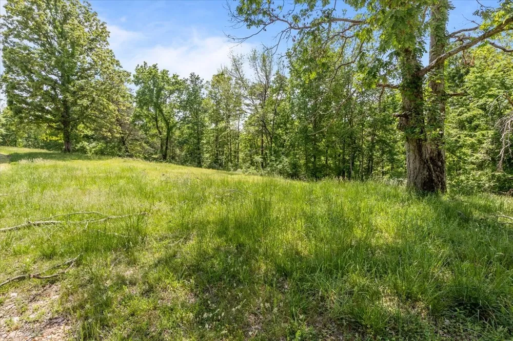 0 Western Rd Waverly, TN 37185
