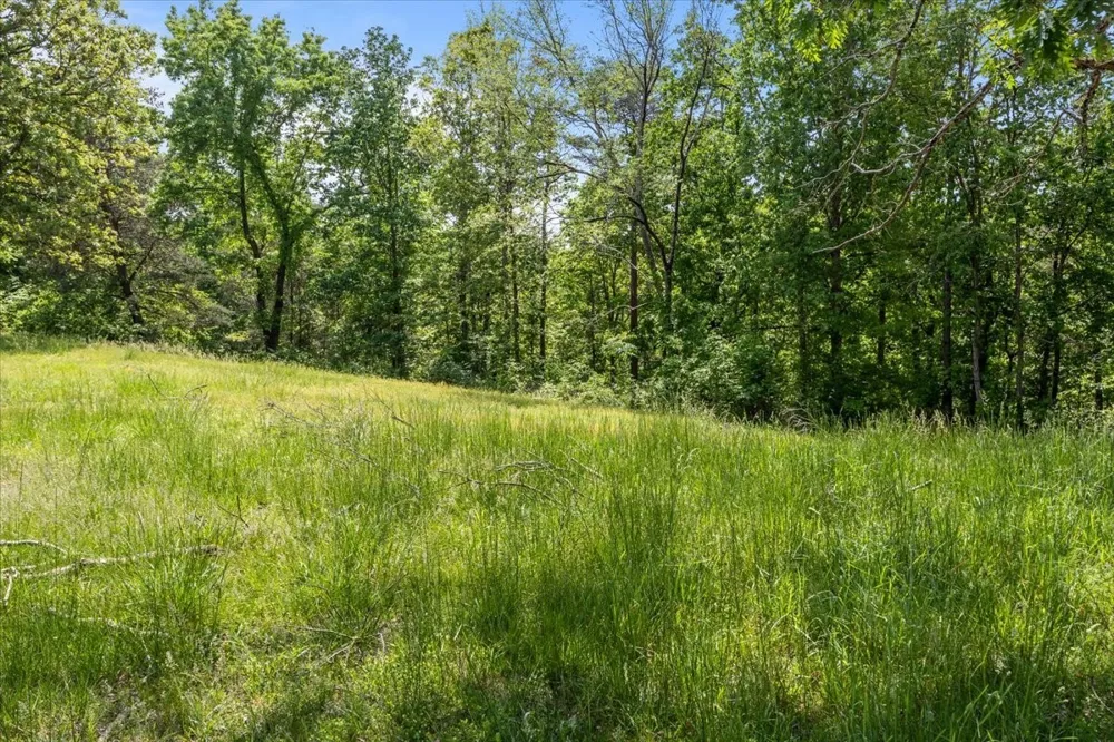 0 Western Rd Waverly, TN 37185