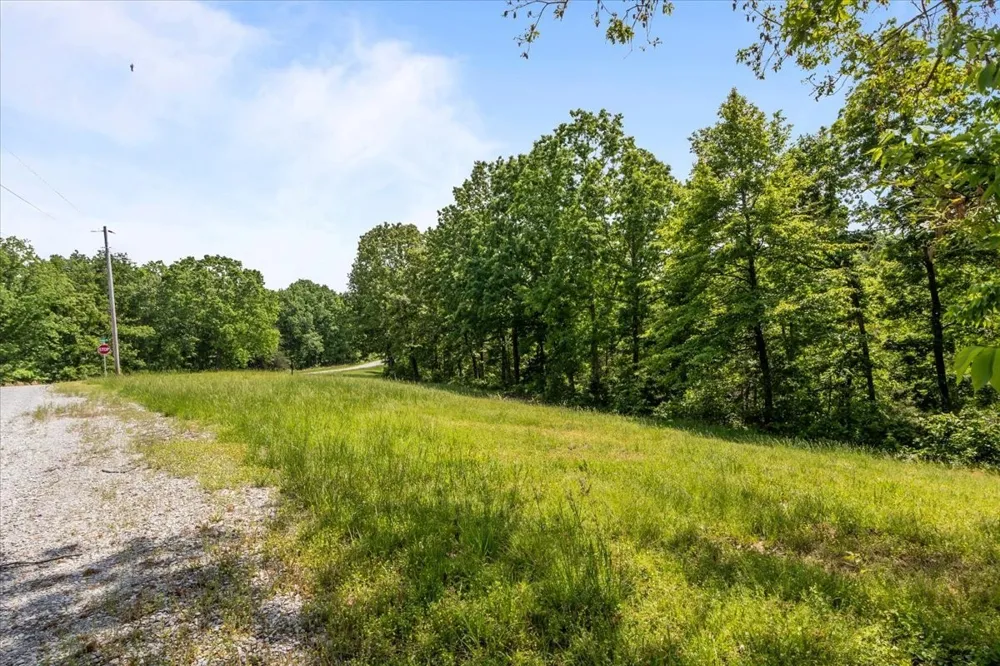 0 Western Rd Waverly, TN 37185