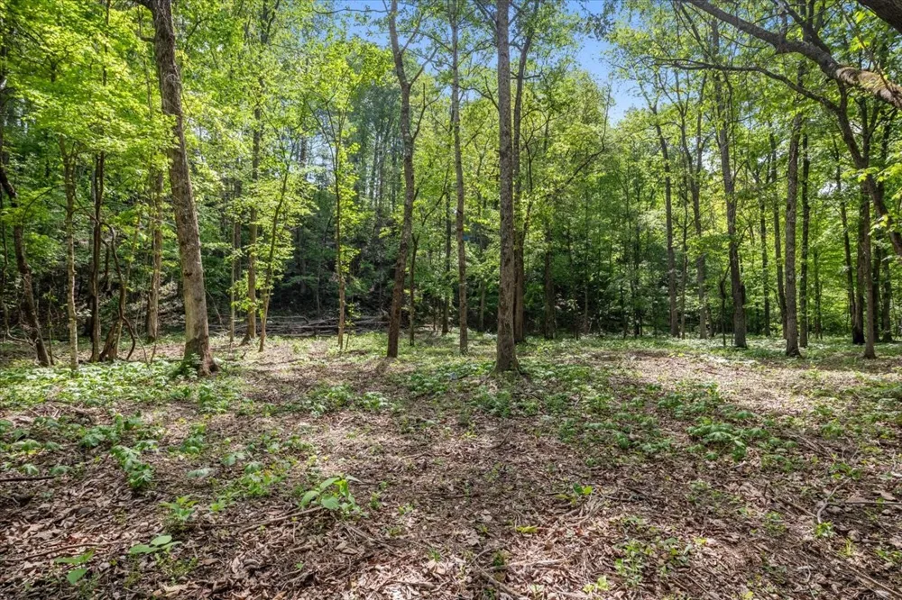 0 Rustling Oaks Dr Waverly, TN 37185