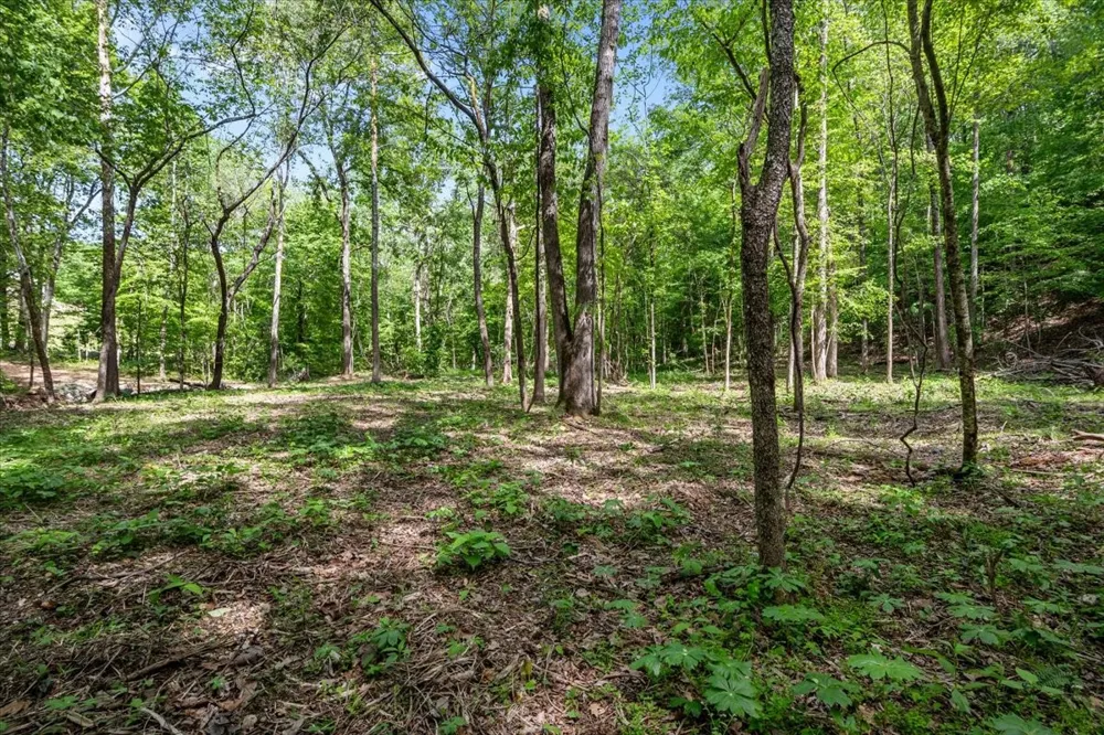 0 Rustling Oaks Dr Waverly, TN 37185