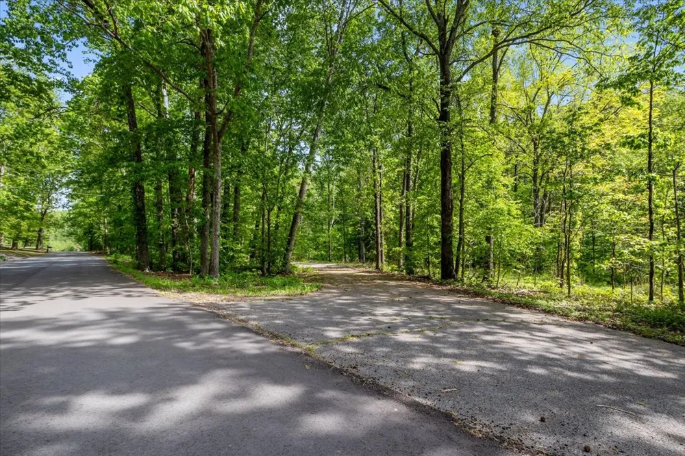 0 Rustling Oaks Dr Waverly, TN 37185