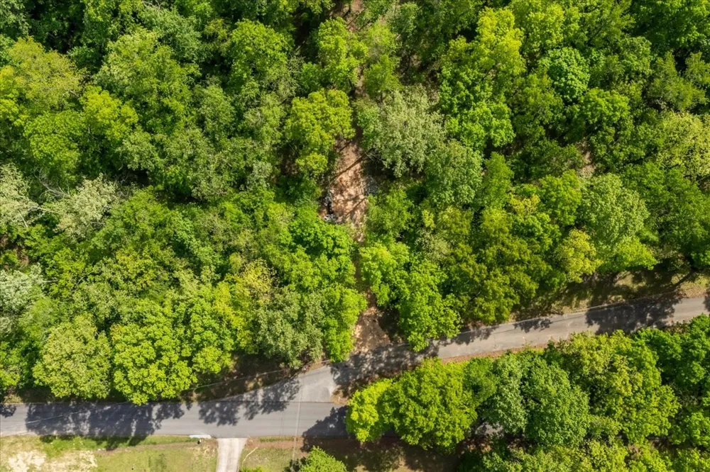 0 Rustling Oaks Dr Waverly, TN 37185