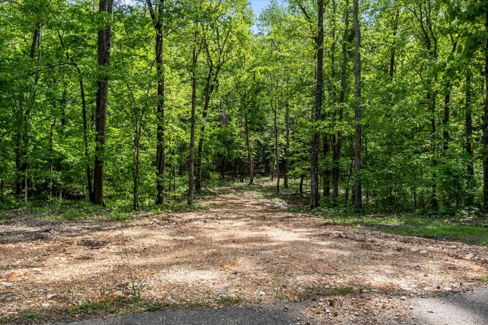 0 Rustling Oaks Dr Waverly, TN 37185