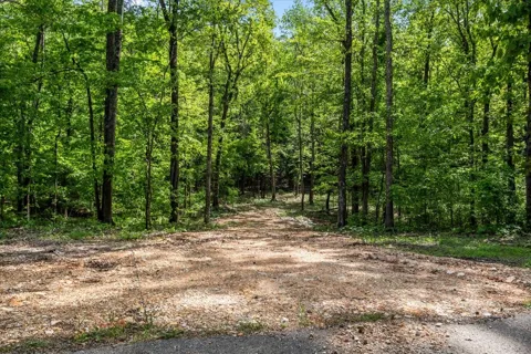 0 Rustling Oaks Dr