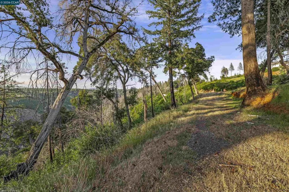 6479 Gregory Ln Paradise, CA 95969