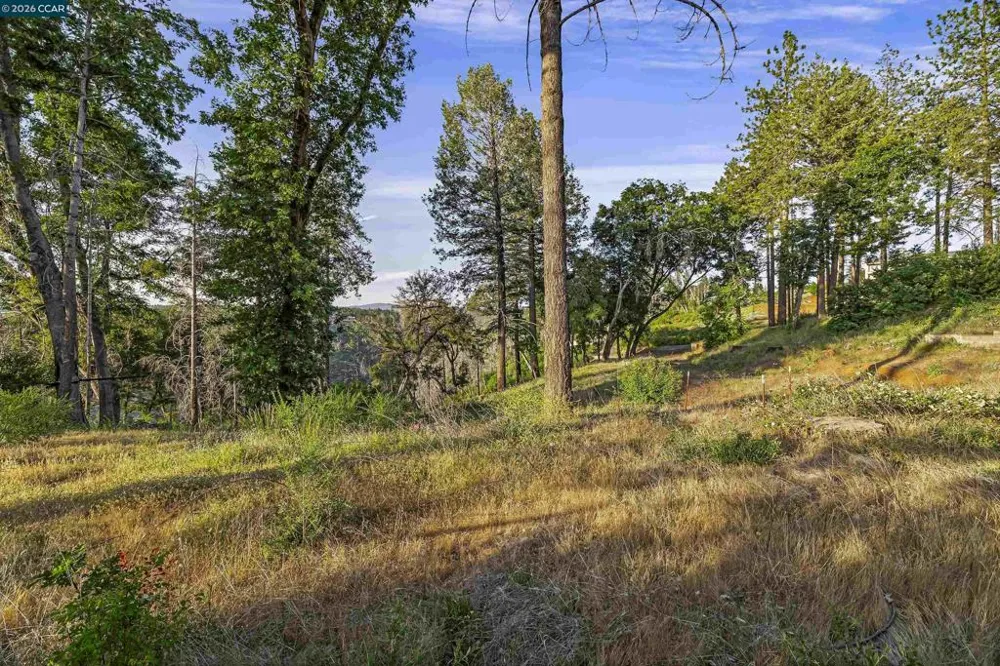 6479 Gregory Ln Paradise, CA 95969