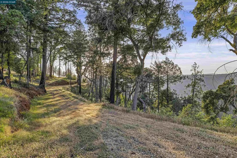 6479 Gregory Ln Paradise, CA 95969