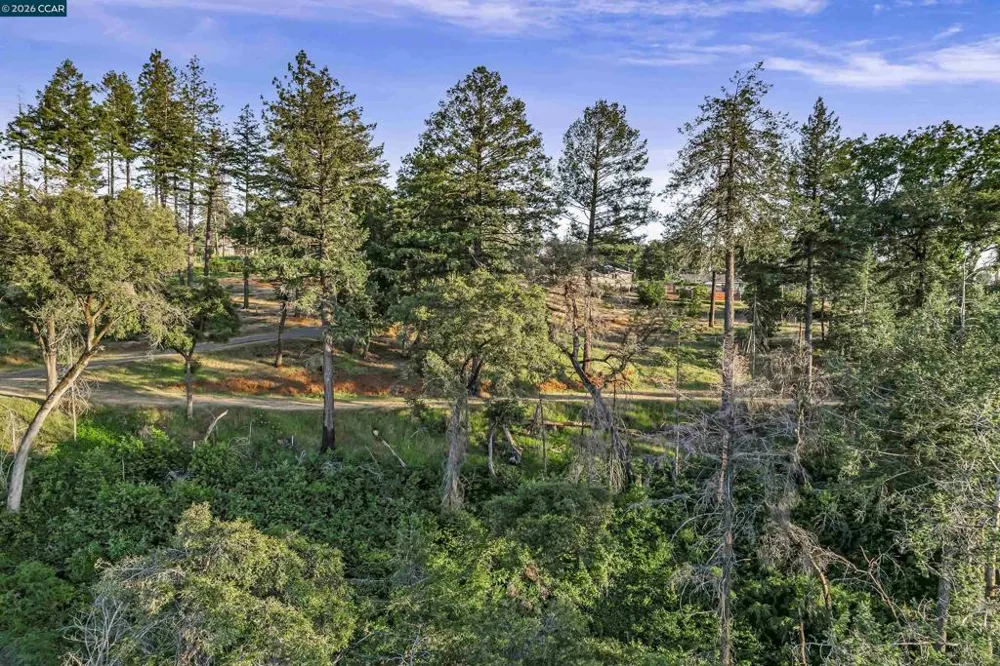 6479 Gregory Ln Paradise, CA 95969