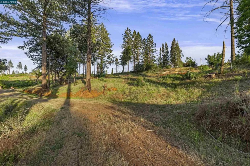 6479 Gregory Ln Paradise, CA 95969