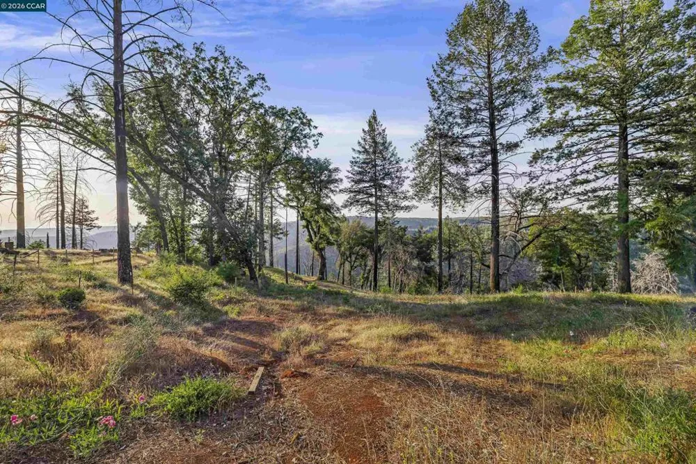 6479 Gregory Ln Paradise, CA 95969