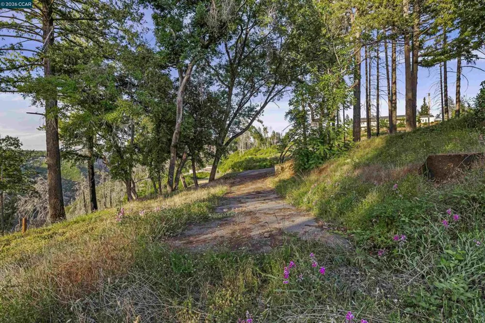 6479 Gregory Ln Paradise, CA 95969