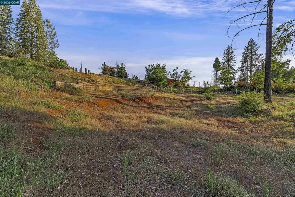 6479 Gregory Ln Paradise, CA 95969