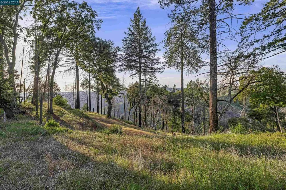 6479 Gregory Ln Paradise, CA 95969