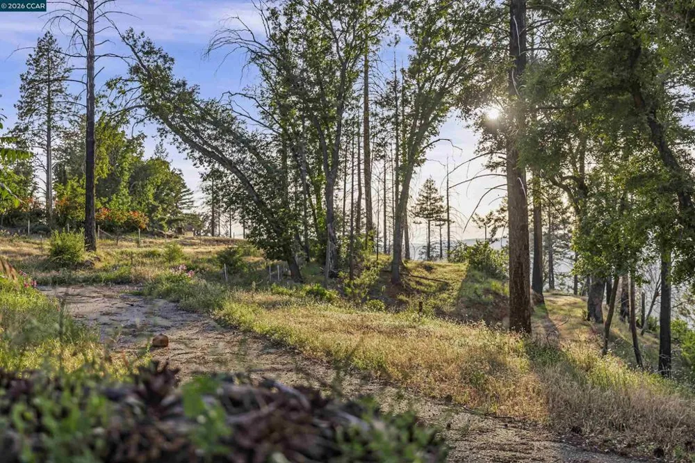 6479 Gregory Ln Paradise, CA 95969