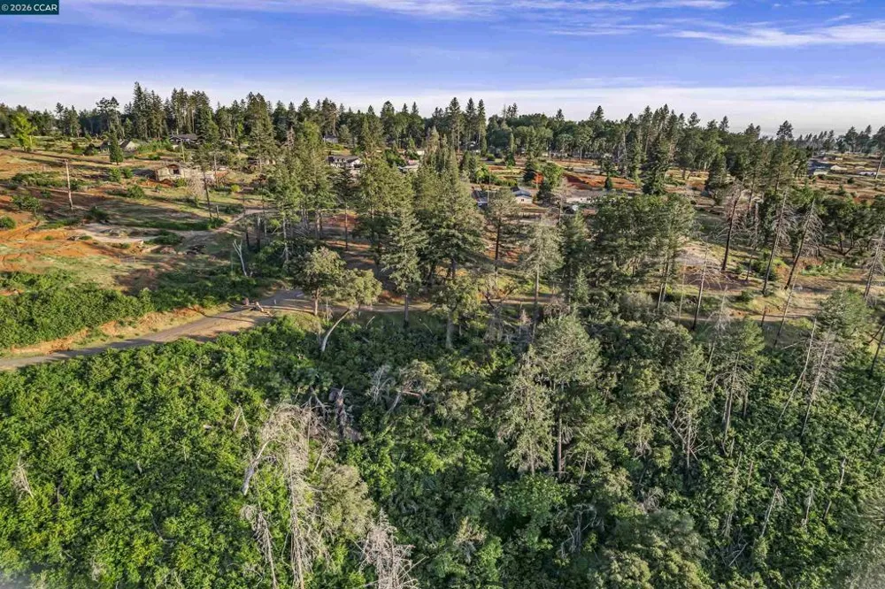 6479 Gregory Ln Paradise, CA 95969