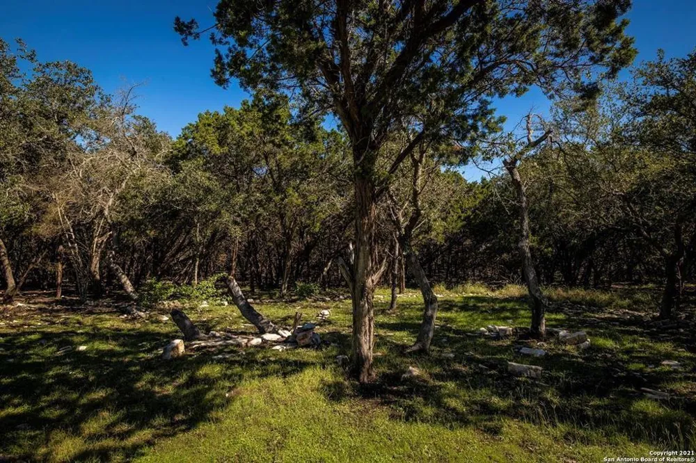 2224 Misty Hollow New Braunfels, TX 78132