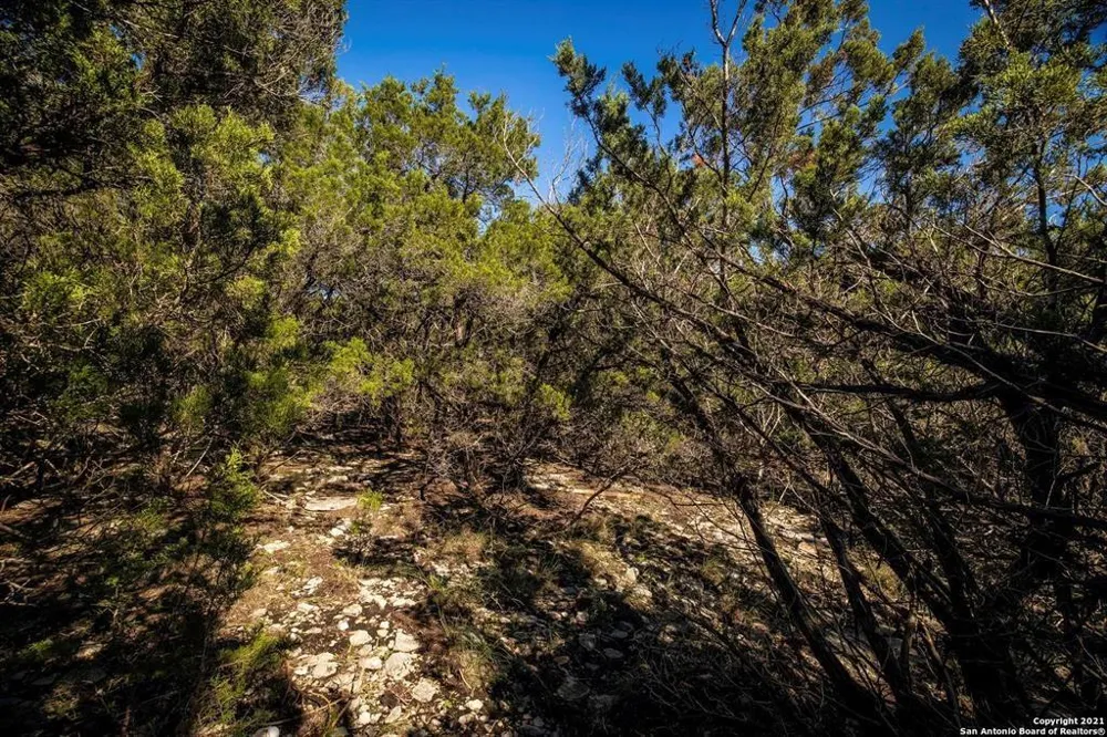 2224 Misty Hollow New Braunfels, TX 78132