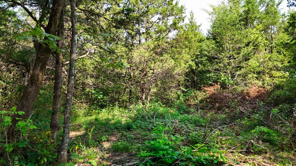 6 Cedar Grove Rd Murfreesboro, TN 37127