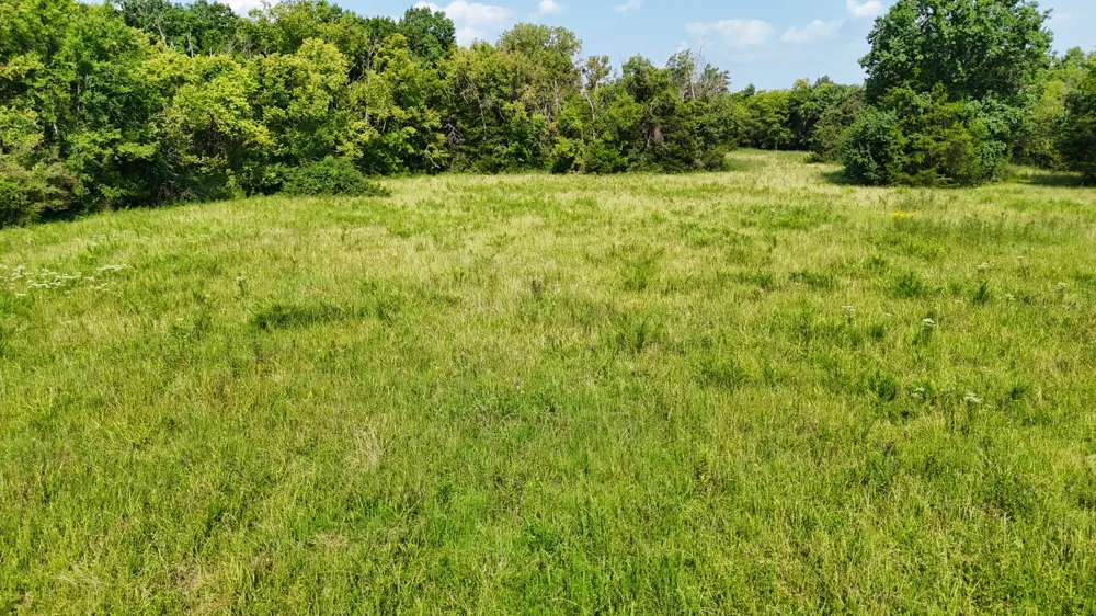 6 Cedar Grove Rd Murfreesboro, TN 37127