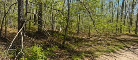 0 Doe Creek Lake Dr