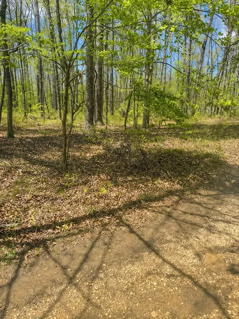 0 Doe Creek Lake Dr