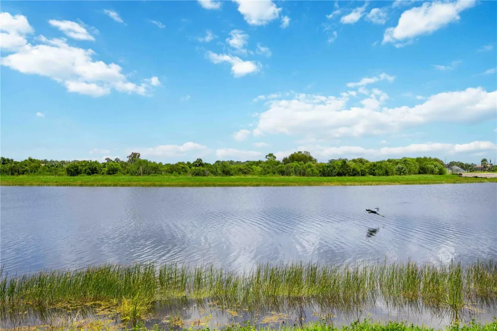 23781 WAVERLY CIRCLE Venice, FL 34293