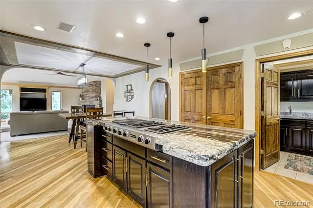 1851 Gore Drive Larkspur, CO 80118