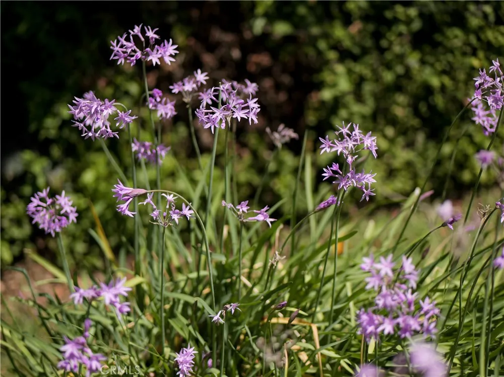 27424 Rainbow Ridge Palos Verdes Peninsula, CA 90274