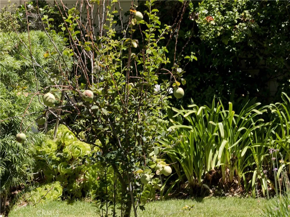 27424 Rainbow Ridge Palos Verdes Peninsula, CA 90274