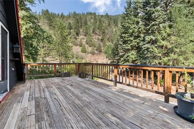 403 Fall River Road Idaho Springs, CO 80452