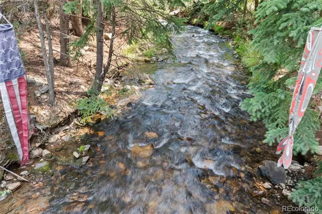 403 Fall River Road Idaho Springs, CO 80452