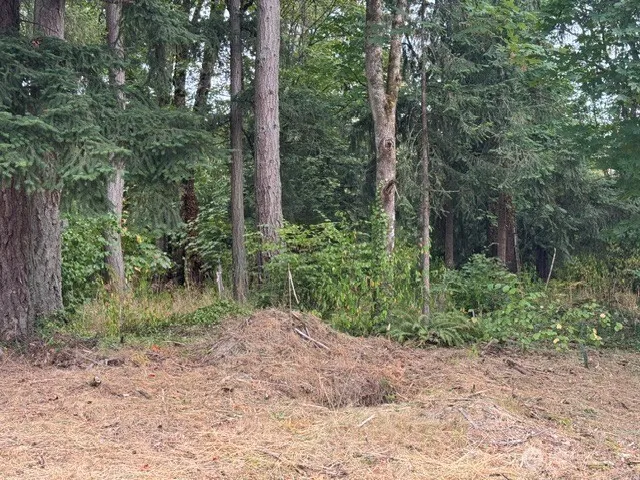 36852 52nd Avenue S #C-N Auburn, WA 98001