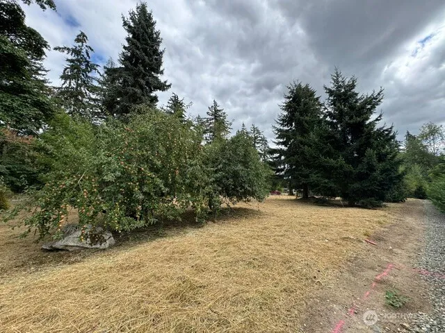 36852 52nd Avenue S #C-N Auburn, WA 98001