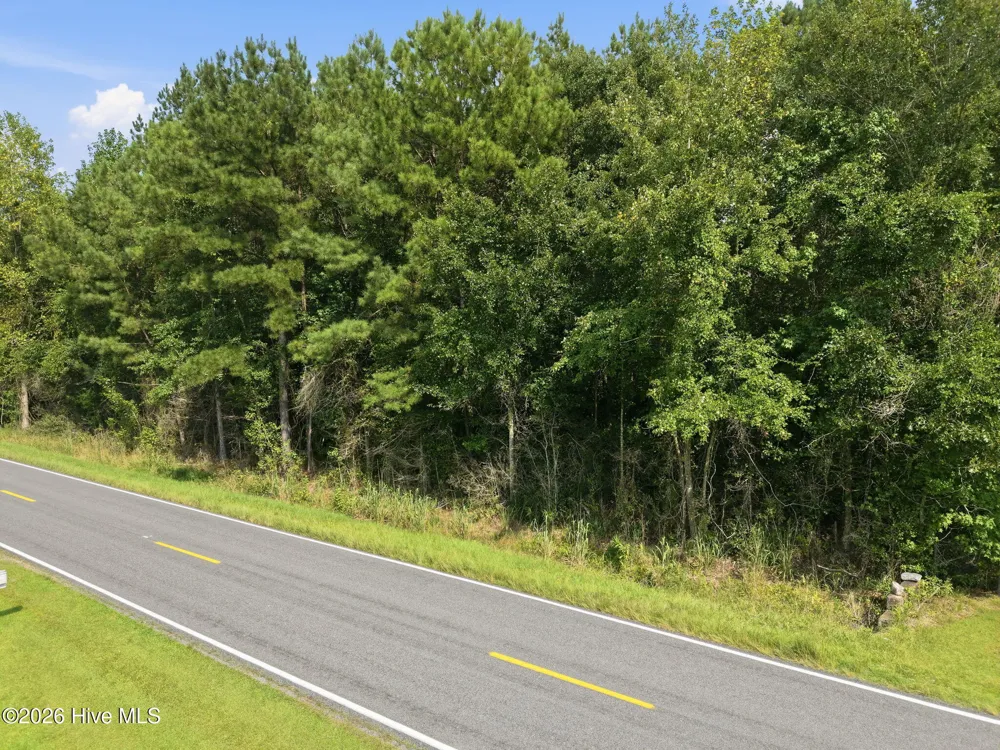 L2 Verlinz Haws Run Road Maple Hill, NC 28454