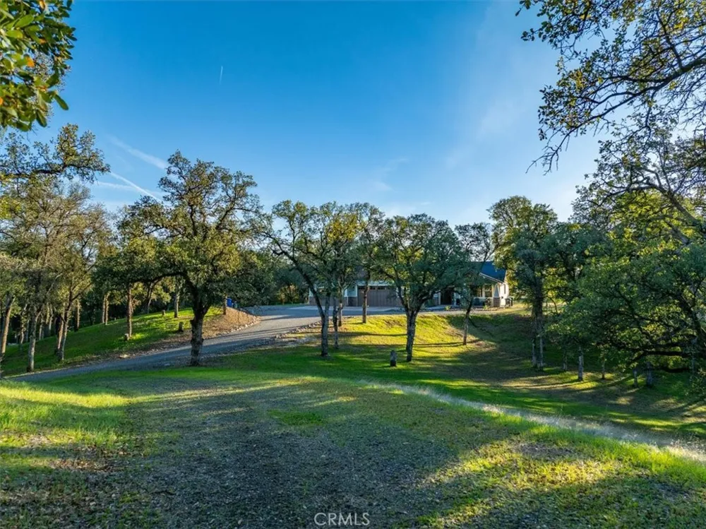14815 Molluc Red Bluff, CA 96080