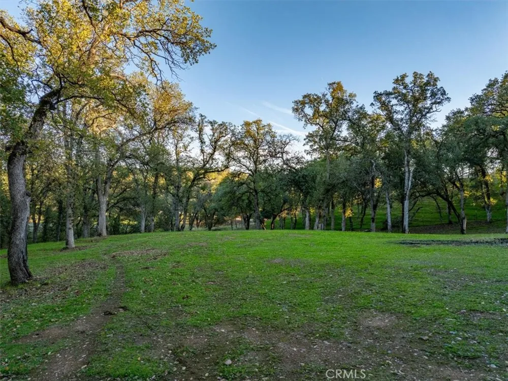 14815 Molluc Red Bluff, CA 96080