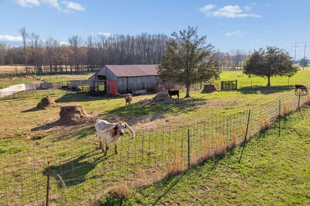 324 Laster Holman Lane Decherd, TN 37324