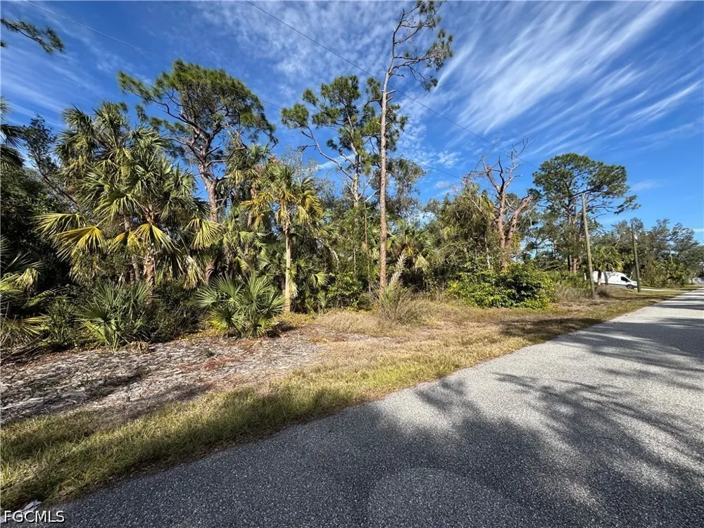 Luscar Avenue Port Charlotte, FL 33954