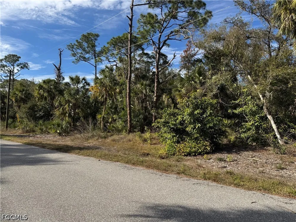 Luscar Avenue Port Charlotte, FL 33954