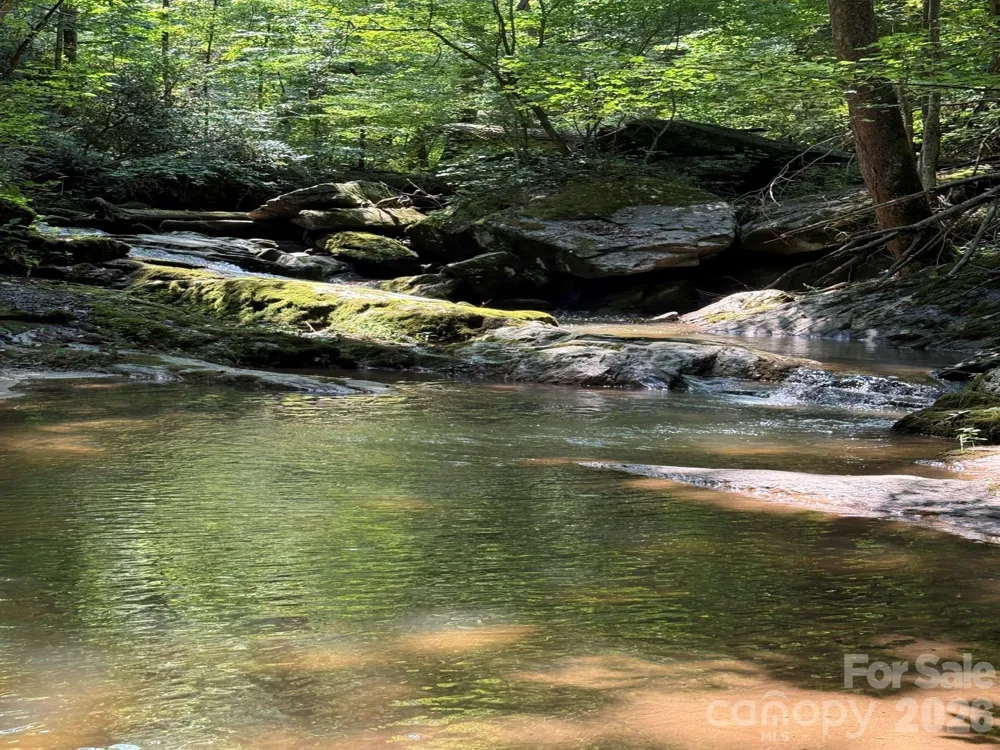 TBD Lewis Drive Marshall, NC 28753