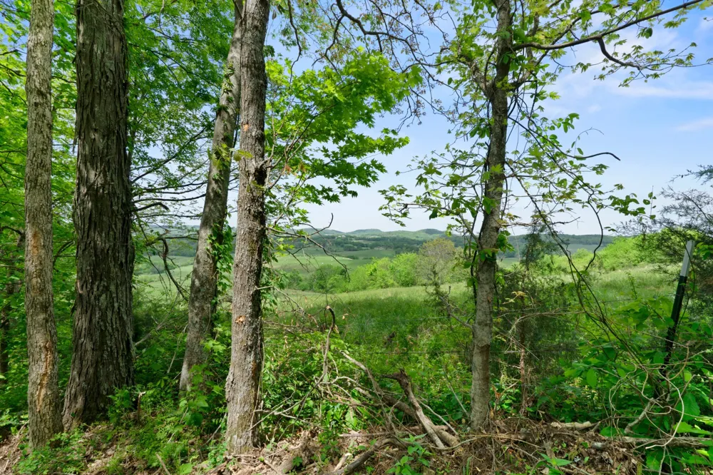 2870 Leonard Creek Ln Arrington, TN 37014