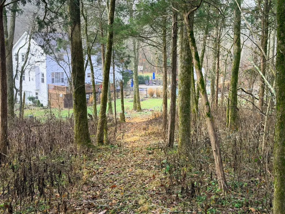 2870 Leonard Creek Ln Arrington, TN 37014