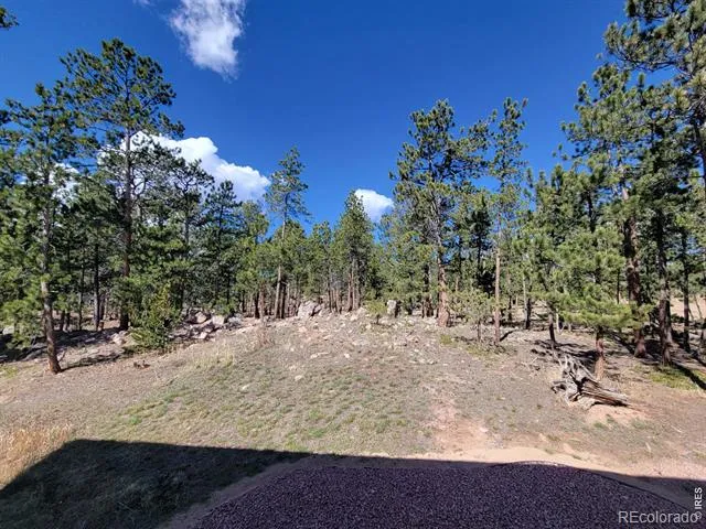 2225 County Road 73c Red Feather Lakes, CO 80545