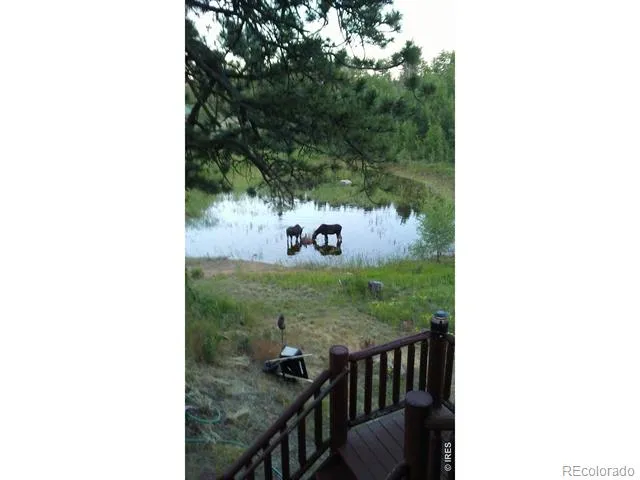 2225 County Road 73c Red Feather Lakes, CO 80545