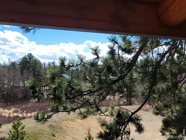 2225 County Road 73c Red Feather Lakes, CO 80545